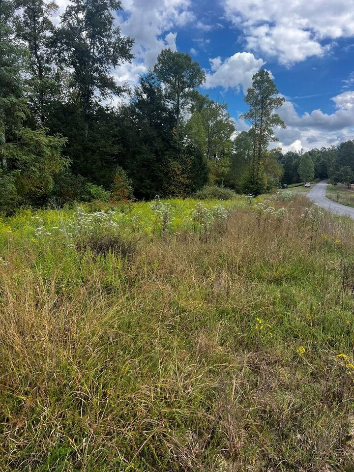 Property Photo: 318 River Ridge Lane WV 26679