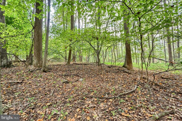 Property Photo:  Lot Moores Mountain Road  PA 17339 