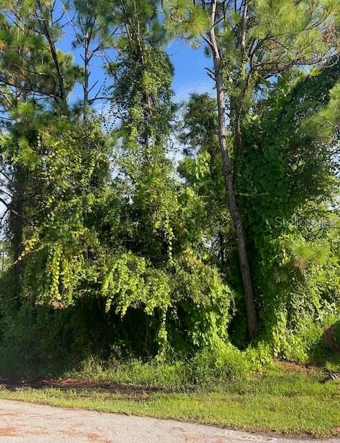 Property Photo:  Gancedo Avenue  FL 34291 