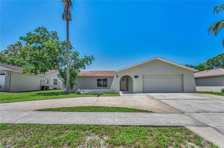 Property Photo: 11121 Peppertree Lane FL 34668