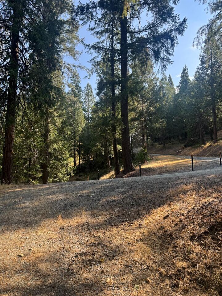 Property Photo:  4290 Arctic Lane  CA 95636 
