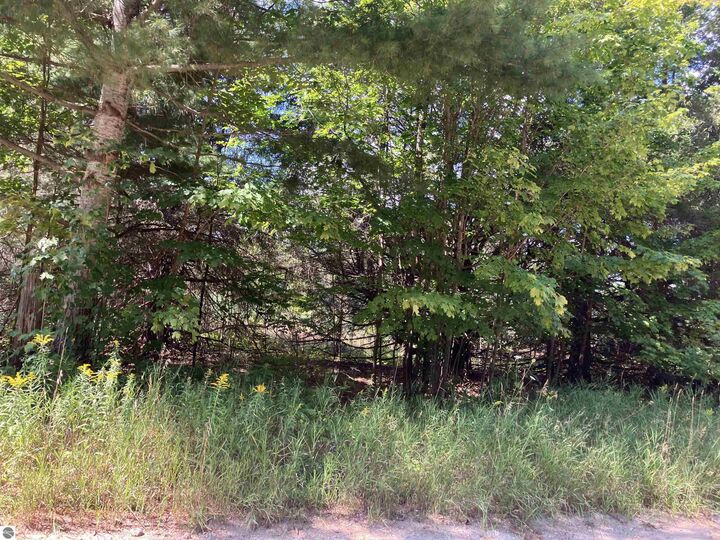 Property Photo: 180 Flowing Well Road MI 49646