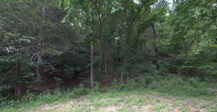 Property Photo:  10.75 Acres Younkers Lane  MO 64854 