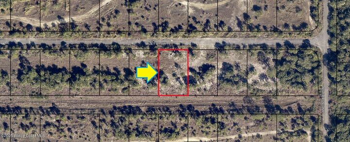 Property Photo: 938 Mizet Street SW FL 32908