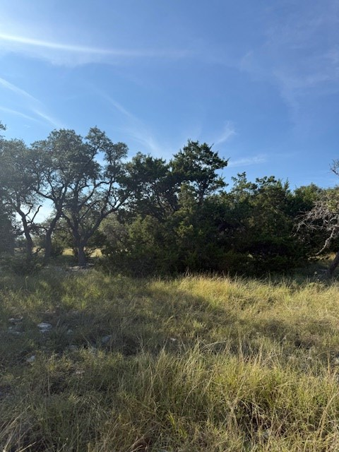 Property Photo:  Lot 75 Pinnacle Dr  TX 78624 