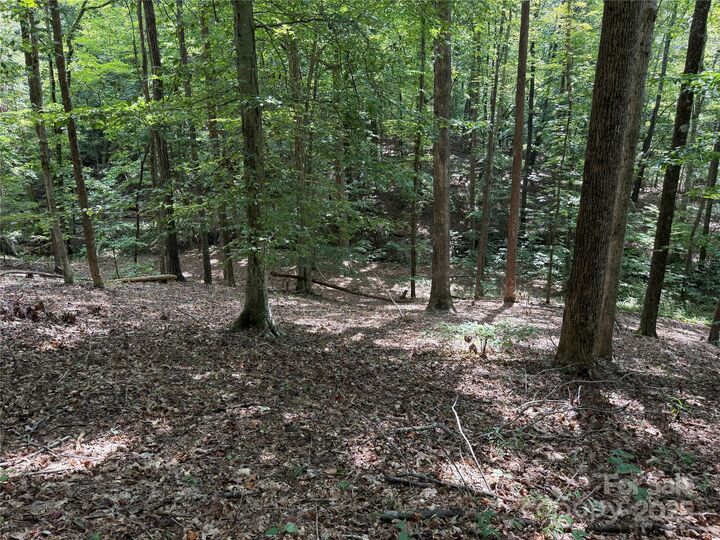 Property Photo:  0 Mountain Brook Trail 298  NC 28761 