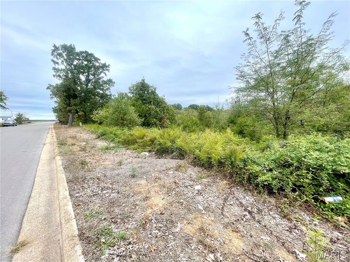 Property Photo:  0 Ivey Lane  MO 65536 