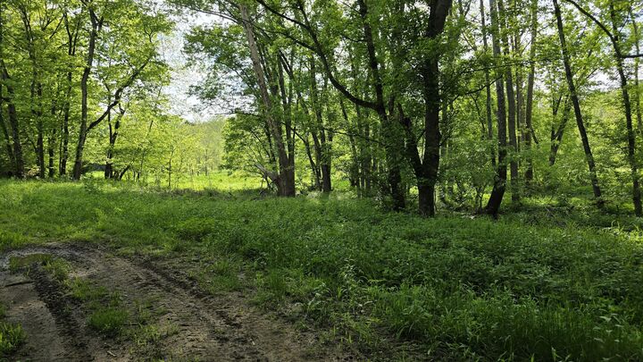 Property Photo: Tract 2 Folsom Jonesville Road KY 41046