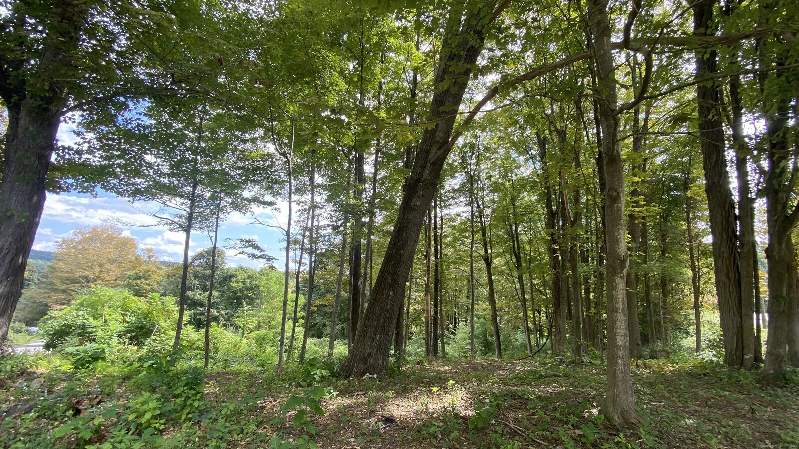 Property Photo: 6 Kennedy Drive CT 06778