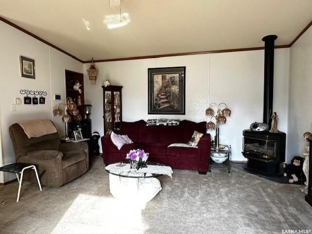 Property Photo:  215 Louis Street  SK S0A 2T0 