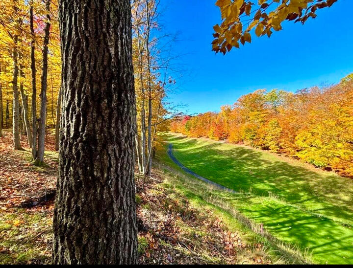 V/L Lot842 Porcupine Path  Gaylord MI 49735 photo