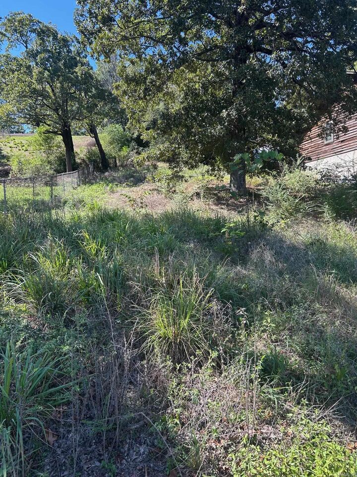 00 Kaps Landing Road  Conway AR 72032 photo
