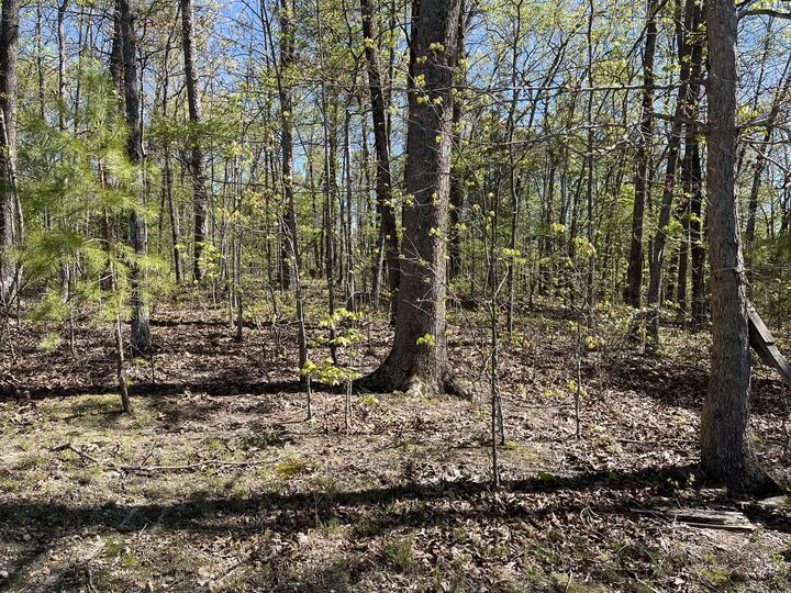 Property Photo: 35 Acres Lafayette Road GA 30740
