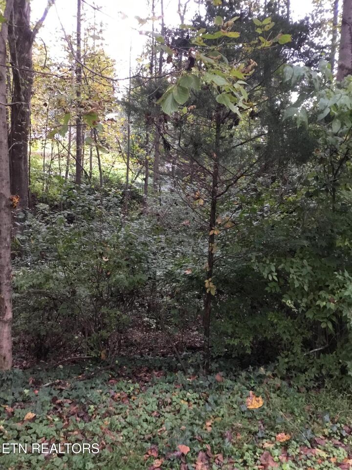 Property Photo:  0 Timbercrest Drive  TN 37716 