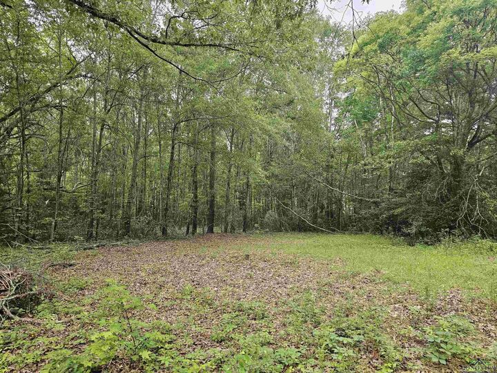 Property Photo: 125 Jenkins St TX 75654