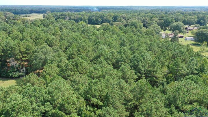 Property Photo:  0000 E Texas Highway 77  TX 75551 