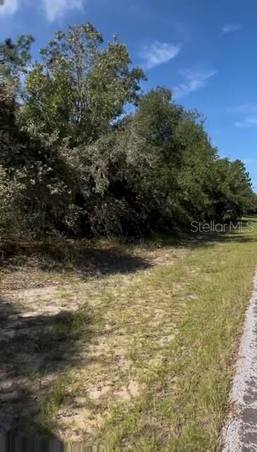 Property Photo:  3222 W Brazilnut Road  FL 34465 