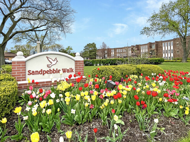 Property Photo:  1575 Sandpebble Drive 336  IL 60090 