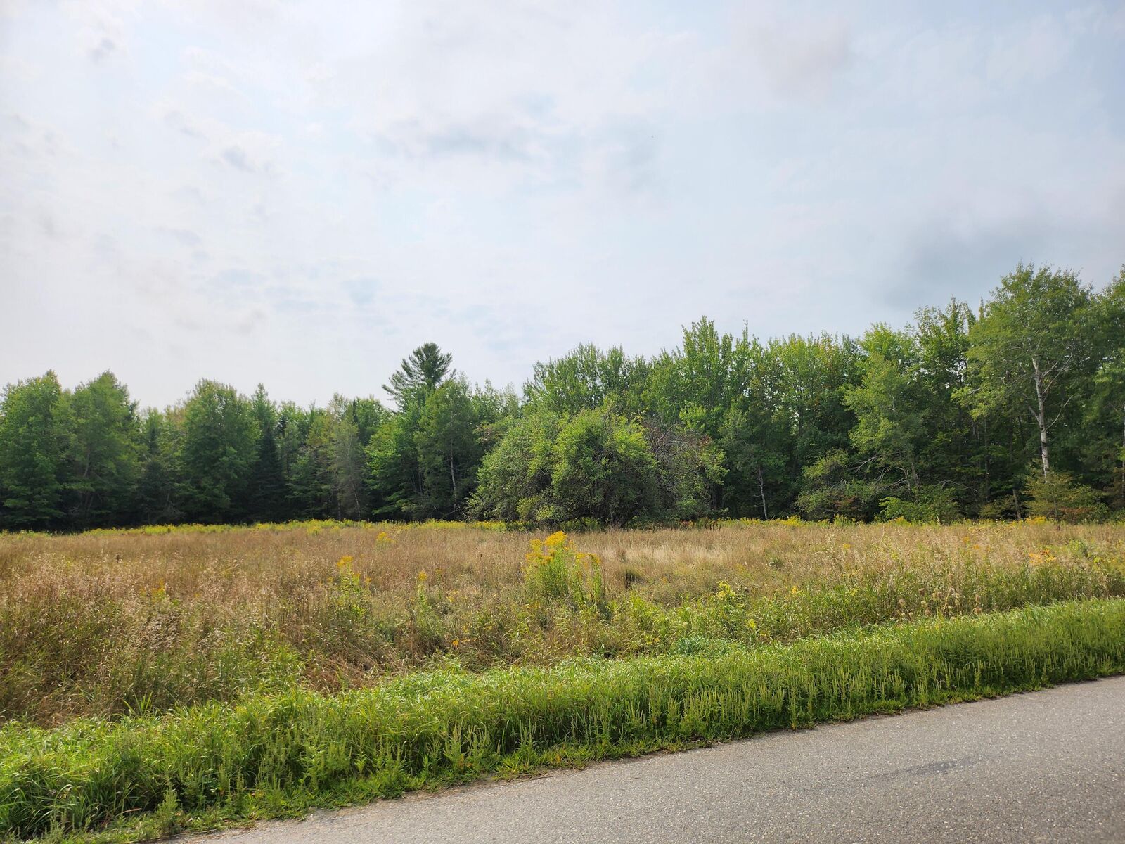 Property Photo:  Lot 15 Old County Road  ME 04434 