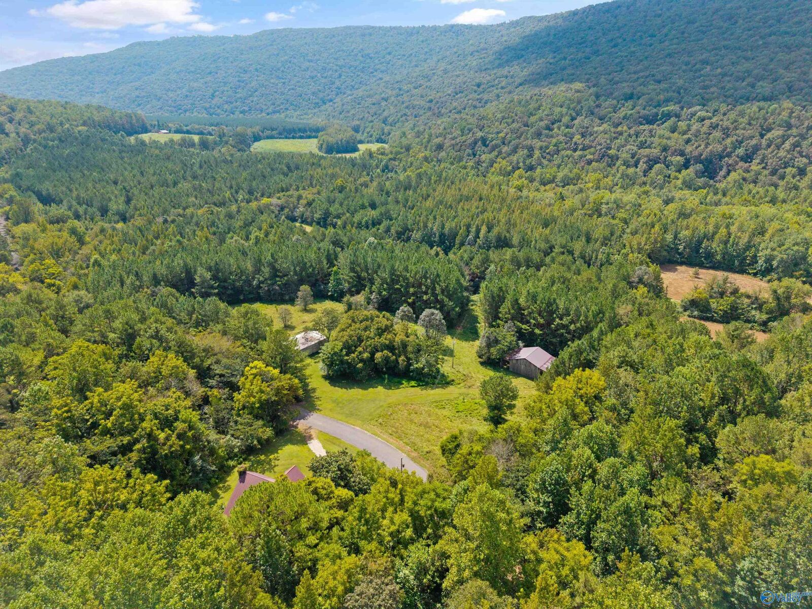 Property Photo:  3818-2 County Road 4 Tract 2  AL 35751 