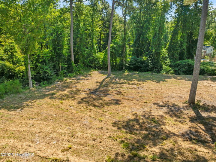 Property Photo:  124 Jupiter Trail  NC 28546 