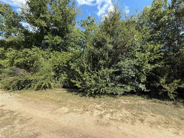 Photo de la propriété:  120 Live Oak Spur  TX 76692 
