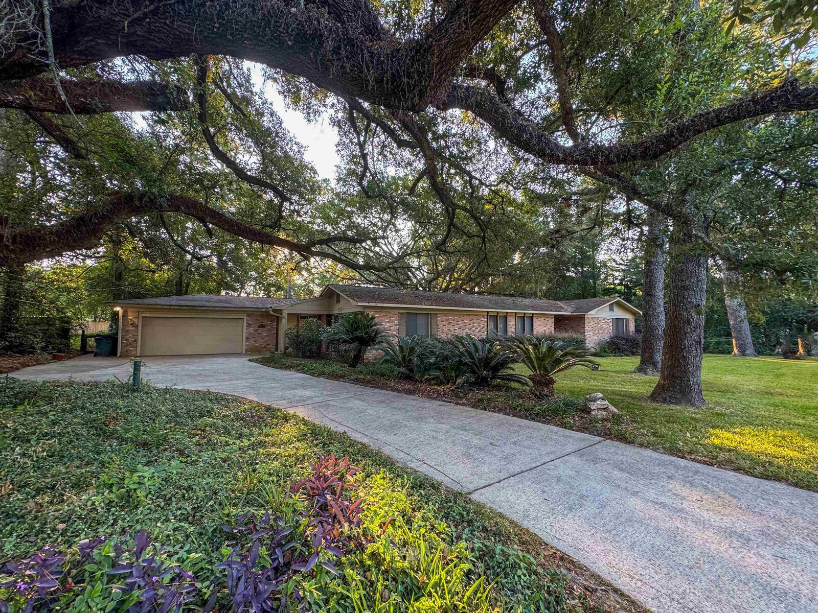 Property Photo:  1127 Victory Garden Drive  FL 32301