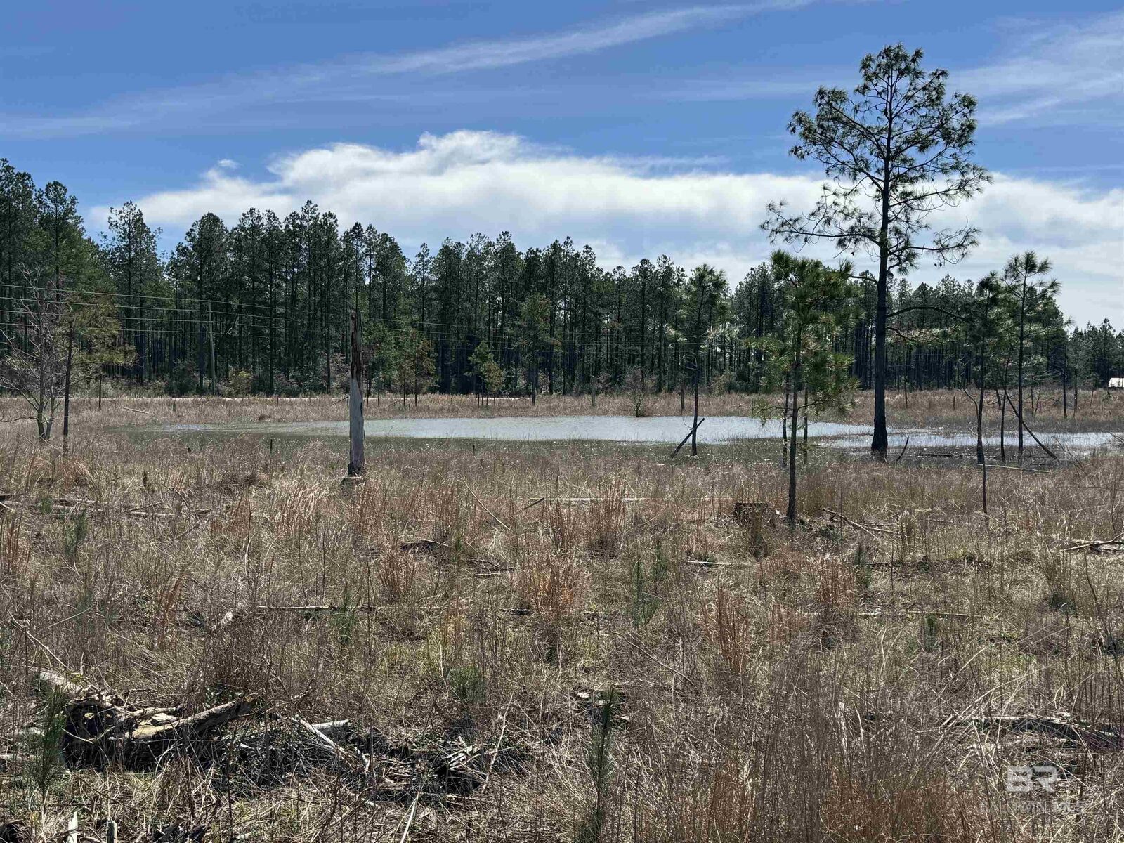Property Photo:  3 County Road 64  AL 36567 