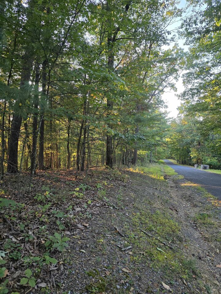 Property Photo:  0 Lerner Ln  VA 22810