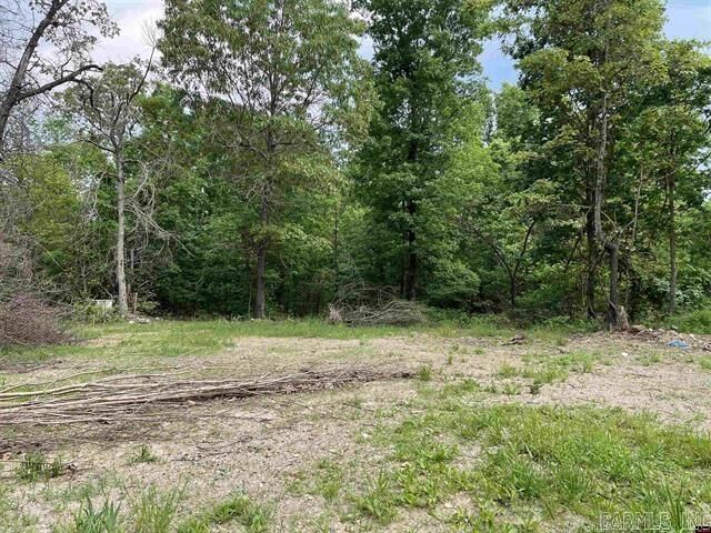 Property Photo:  1158 Brushy Fork Road  AR 72687 