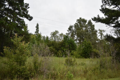 Property Photo: 1544 Isabella Road SC 29556