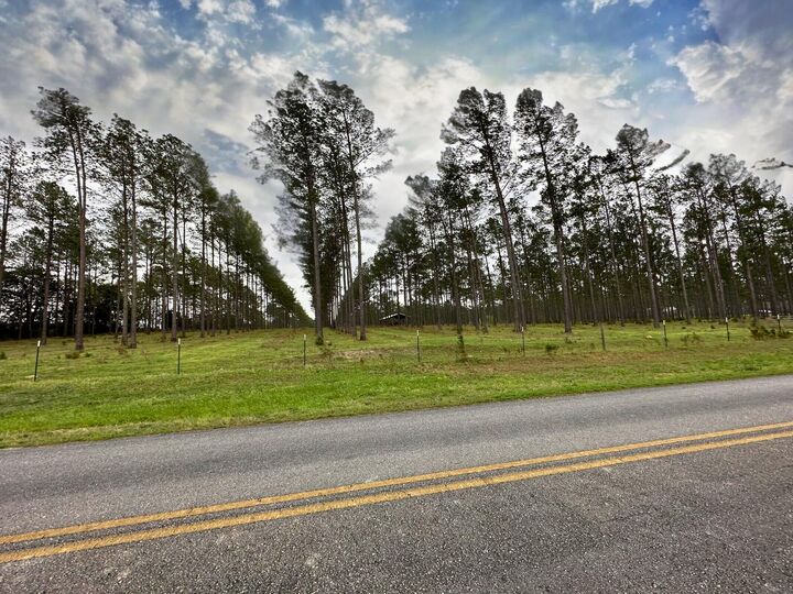 Property Photo:  Tract#6201 8 Mile Cemetery Road 2A  FL 32433 
