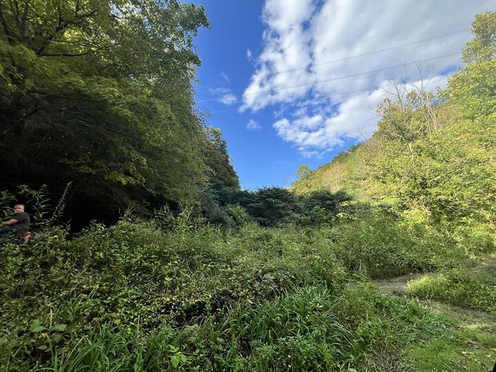Property Photo:  0000 Rockhouse Fork Of Marrobone  Map# 085-00-00-015.05  KY 41522 