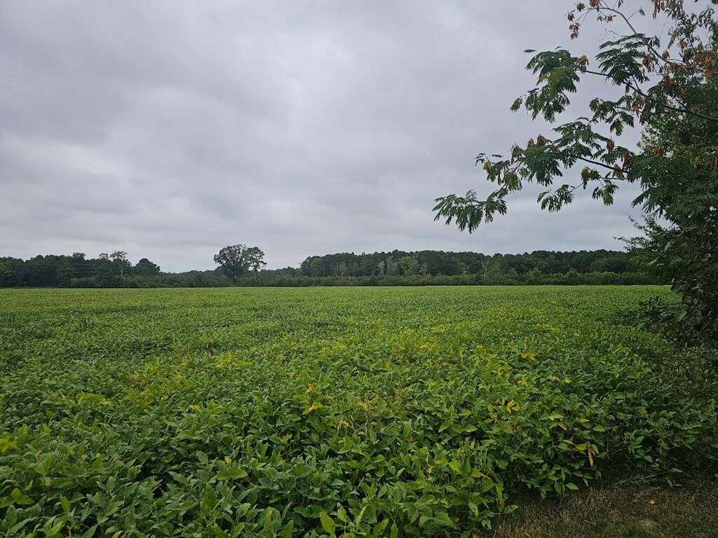 Property Photo:  67 Savagetown Rd  VA 23306 