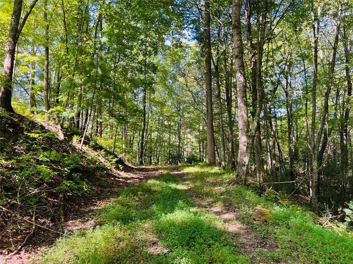 Property Photo:  220 Maxwell Mountain Road  GA 30513 
