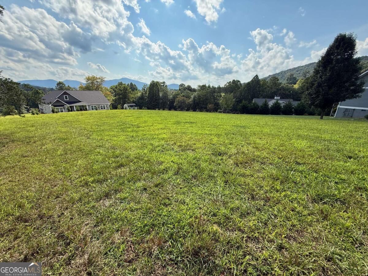 Property Photo: Lot 54 The Preserve GA 30582