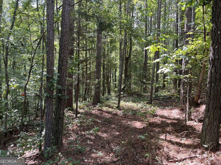 Property Photo: 0 Ga Highway 120 GA 30176