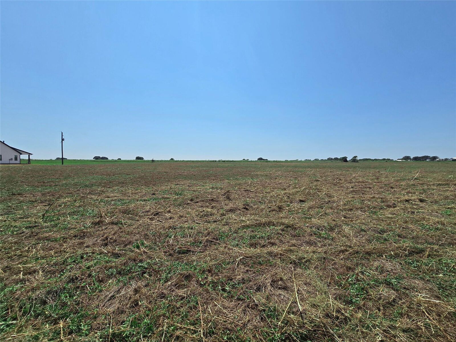 Property Photo:  3115 Meier Road S  TX 77474 