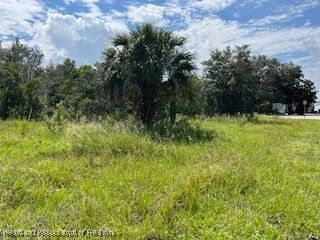 Property Photo:  715 S Young Avenue  FL 33825 