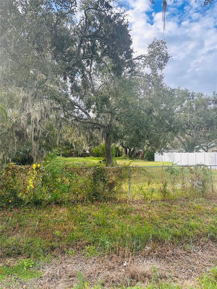 Property Photo:  0 Palm Ave  FL 33534 
