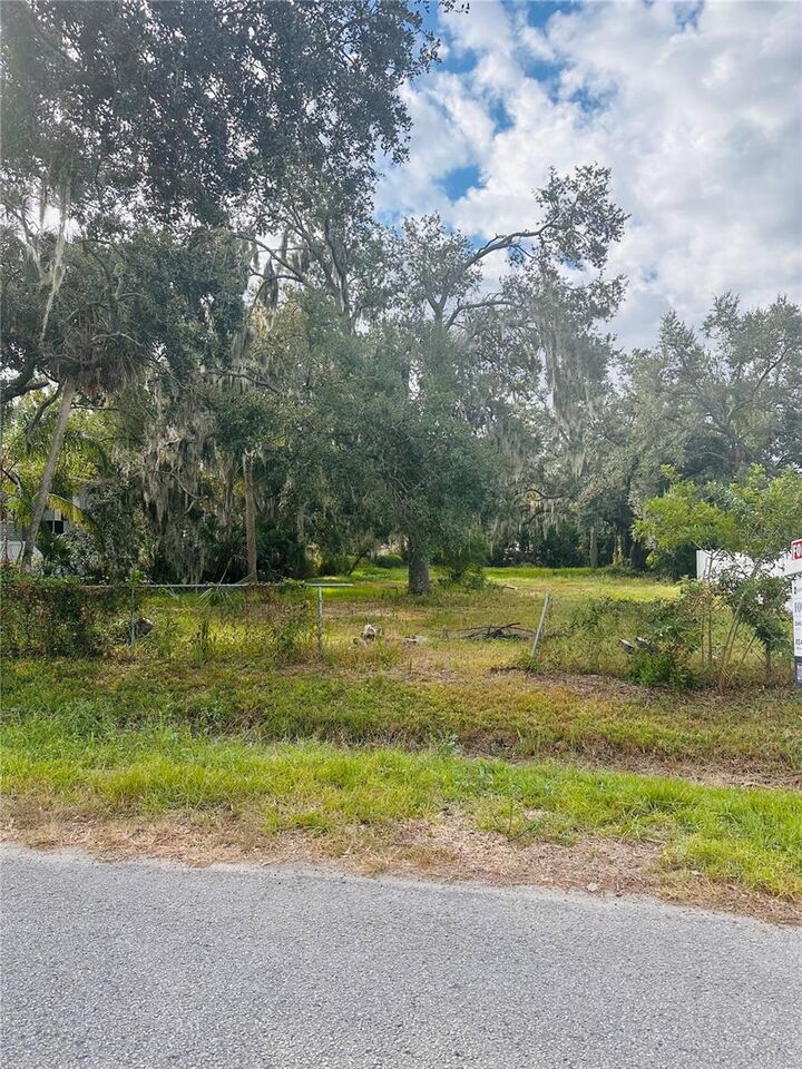 Property Photo: 0 Palm Ave FL 33534