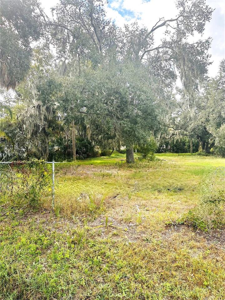 Property Photo:  0 Palm Ave  FL 33534 