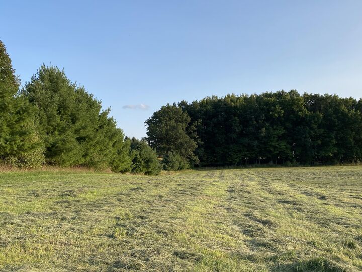 Property Photo: 4451 Hillman Road MI 48850