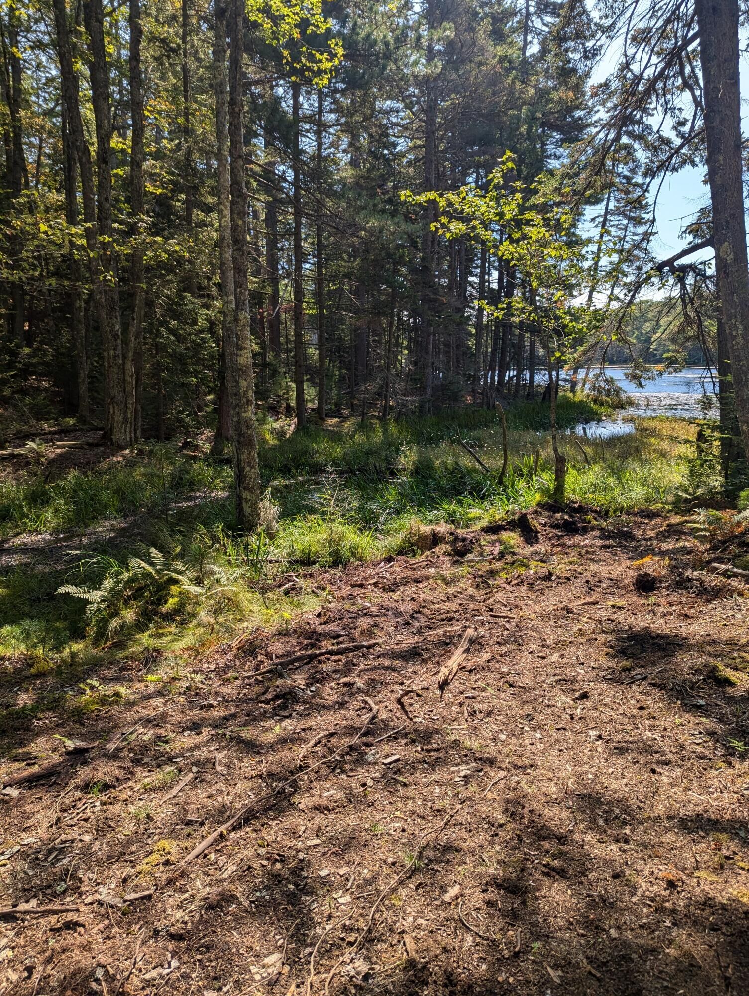 Property Photo:  0 Route #144 (Main Road)  ME 04578 