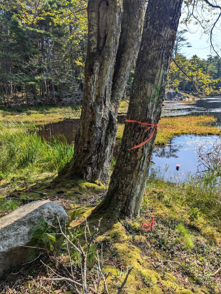 0 Route #144 (Main Road)  Westport Island ME 04578 photo