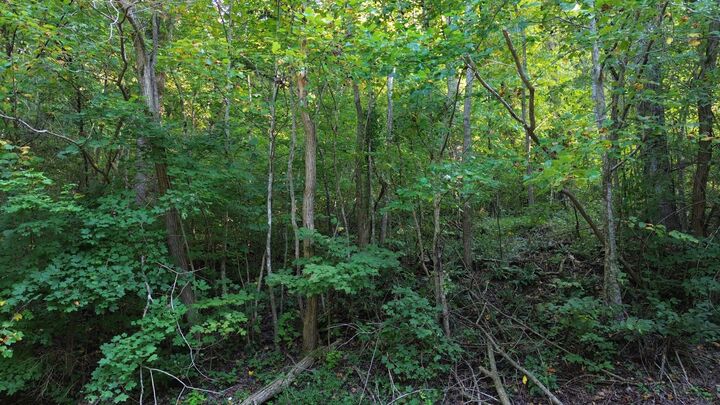 Property Photo:  77 Baymont Dr  TN 38569 