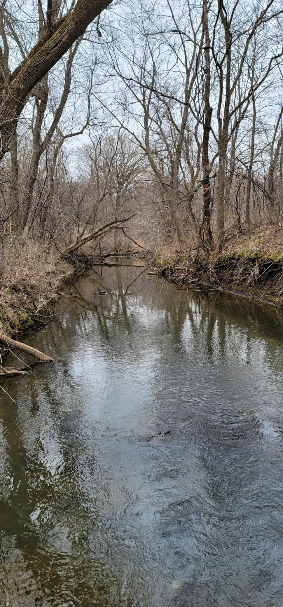 Property Photo:  Tbd Mill Road  MN 55066 