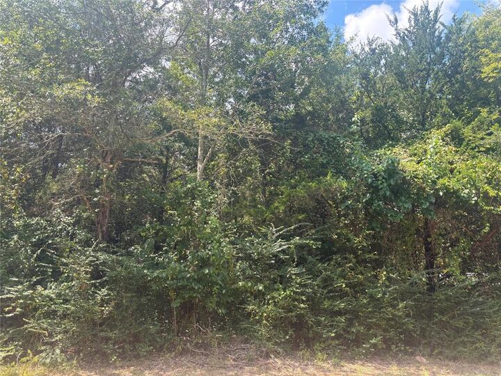 Property Photo:  Lot 13 Timberline Drive  TX 75757 