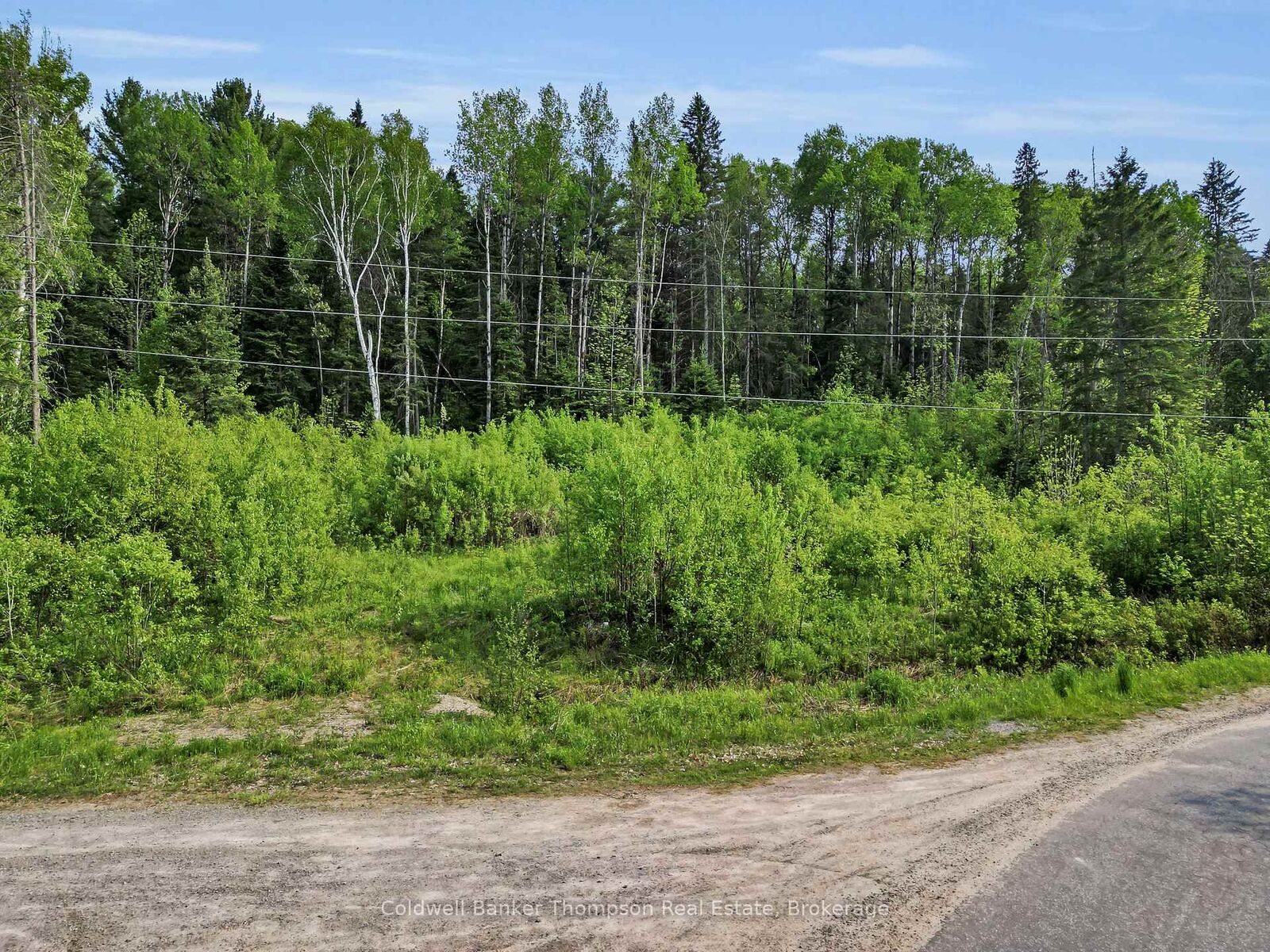 Property Photo:  219 Doe Lake Road  ON P0A 1L0 