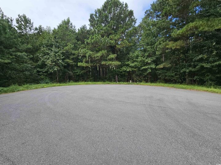 8344 Bucksport Heights Circle  Conway SC 29527 photo